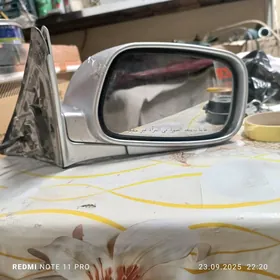 Бабочка боковой