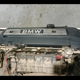 BMW mator