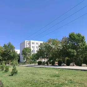 nygmat bazar