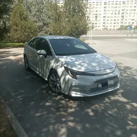 Toyota Corolla 2020