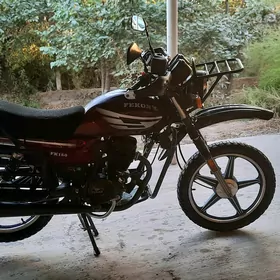 Fekon FK150-8G 2024