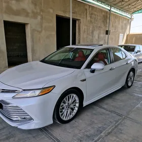 Toyota Camry 2019