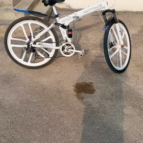 Bmw tigir