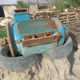 Elektro diwgitel