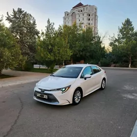 Toyota Corolla 2020