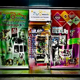 ZOOMAGAZOO zoomagazyn