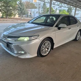 Toyota Camry 2019