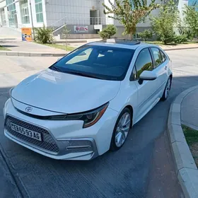 Toyota Corolla 2020
