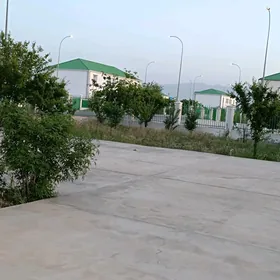 TÄZE ZAMAN GOŞA KOTTEZ