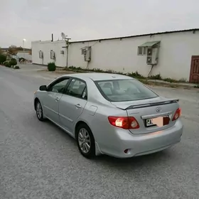 Toyota Corolla 2010