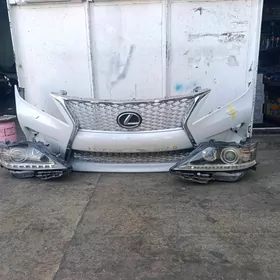 lexus x morda