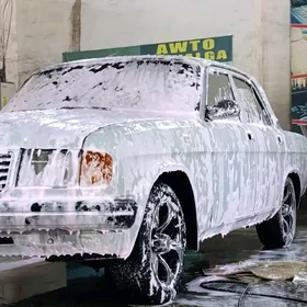Gaz 3110 1993