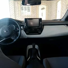 Toyota Corolla 2020