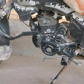 Fekon FK150-8G 2022