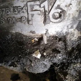 каропка  нексия