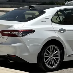 camry žabra Camry jabra