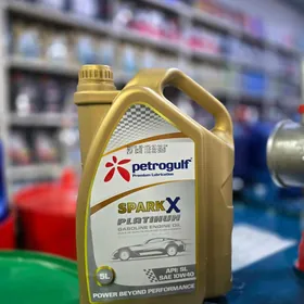 Petrogulf 10/40