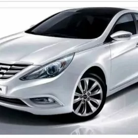 karopka Hyundai sonata 2.4