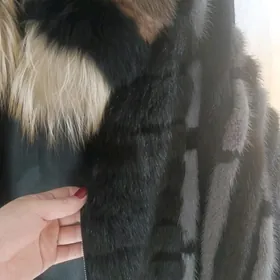 şuba