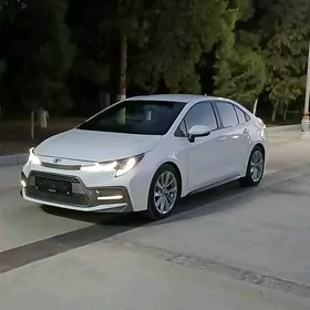 Toyota Corolla 2021