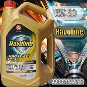 MATOR ÝAGY HAVOLINE 5W-30