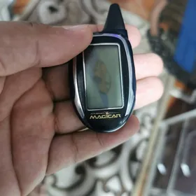 ARGINAL MACIGAR