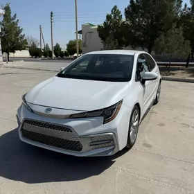 Toyota Corolla 2021