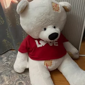 Teddy Miska