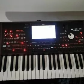 KORG pa 1000