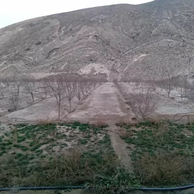 Daça