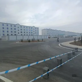 satlyk jay