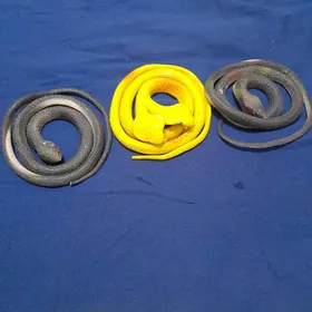 игрушечные змейки