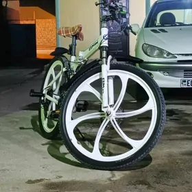 BMW TIGIR