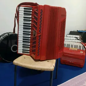 Акордион Akordion