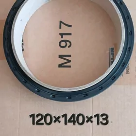 MAN motor salniklary