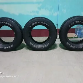 Dunlop pakrișka