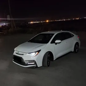 Toyota Corolla 2021