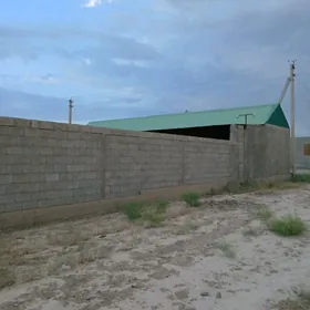 Satlyk howly bagly bakjaly jaý