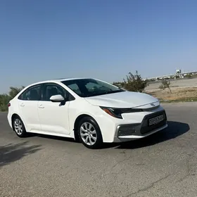 Toyota Corolla 2020