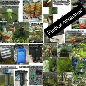 аква.оборудование т.д