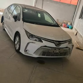 Toyota Corolla 2020