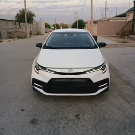 Toyota Corolla 2021