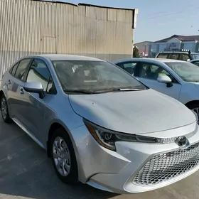 Toyota Corolla 2020