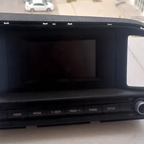 Magnitadon Elantra 2019