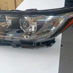 Fara çyra Higlander 18 gasly