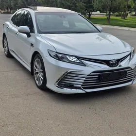 Toyota Camry 2019