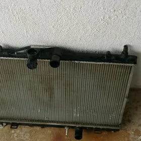 radiator wersiýa.