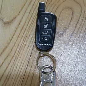 gok majikar zapas puldy