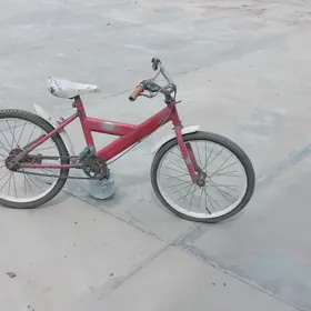 Velik 20 lik