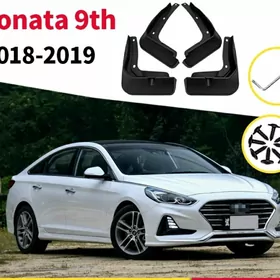 H-Sonata 2018-2019ý. bryzgowik